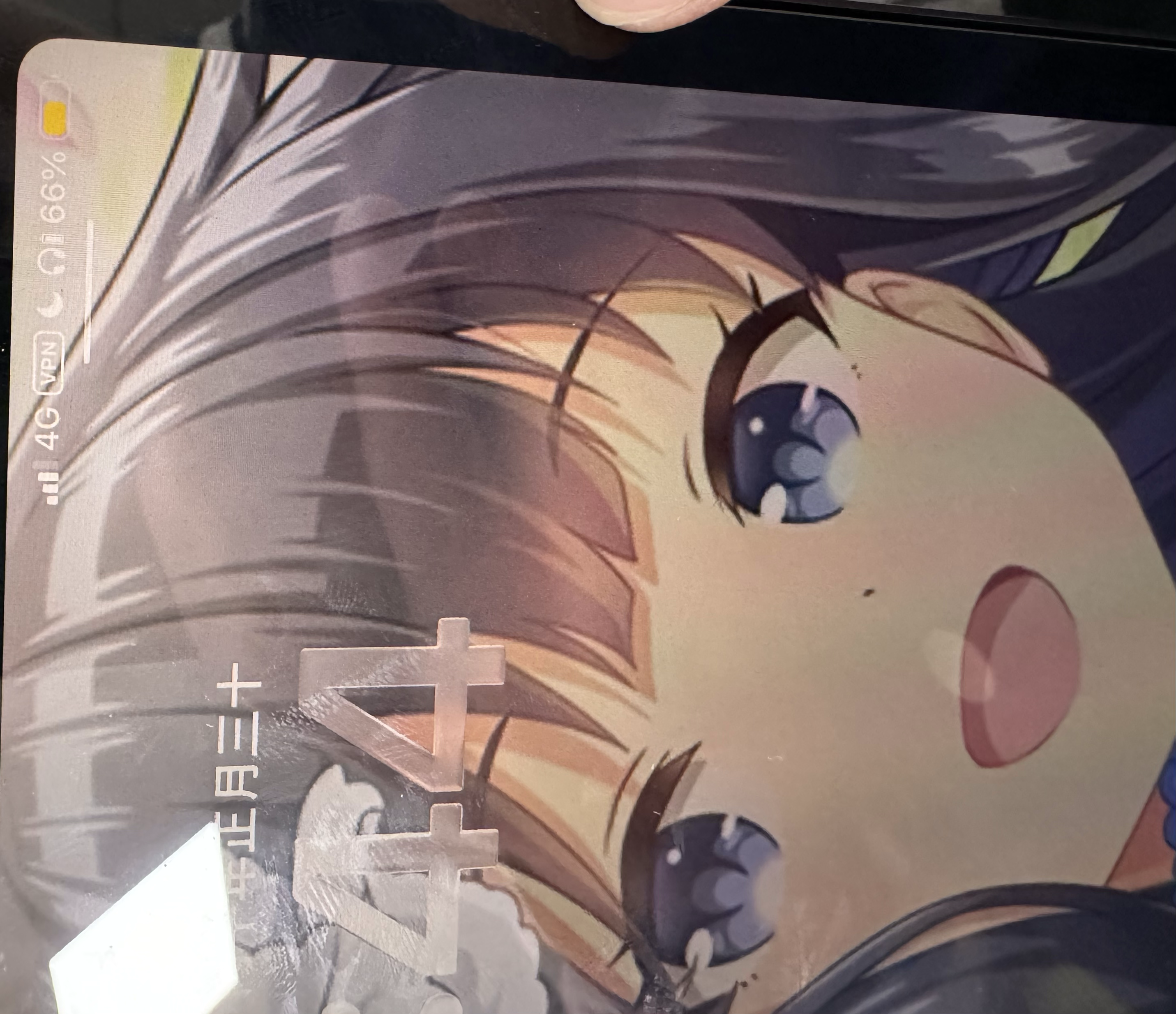 三角葵
